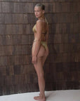 About Rose Hyde Bikini Brief Gold