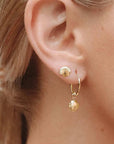 Midsummer Star Dainty Seashell Studs Gold