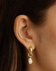 Charlotte 18k Gold Vermeil Stay Wild Hoops