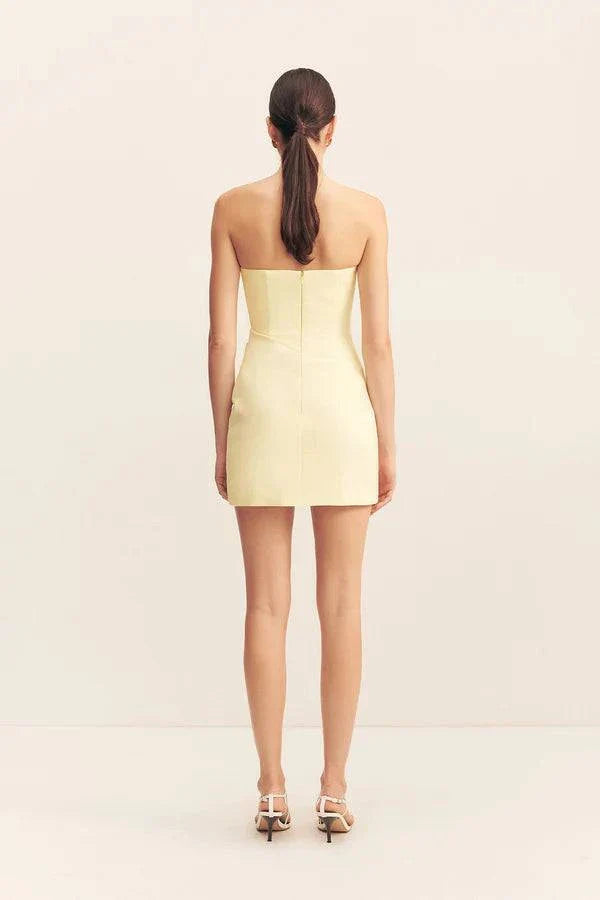 Shona Joy Lani Strapless Corset Minie Dress Sgroppino