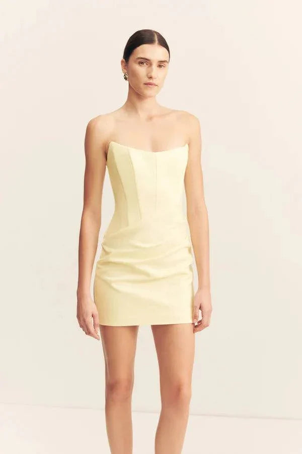 Shona Joy Lani Strapless Corset Minie Dress Sgroppino