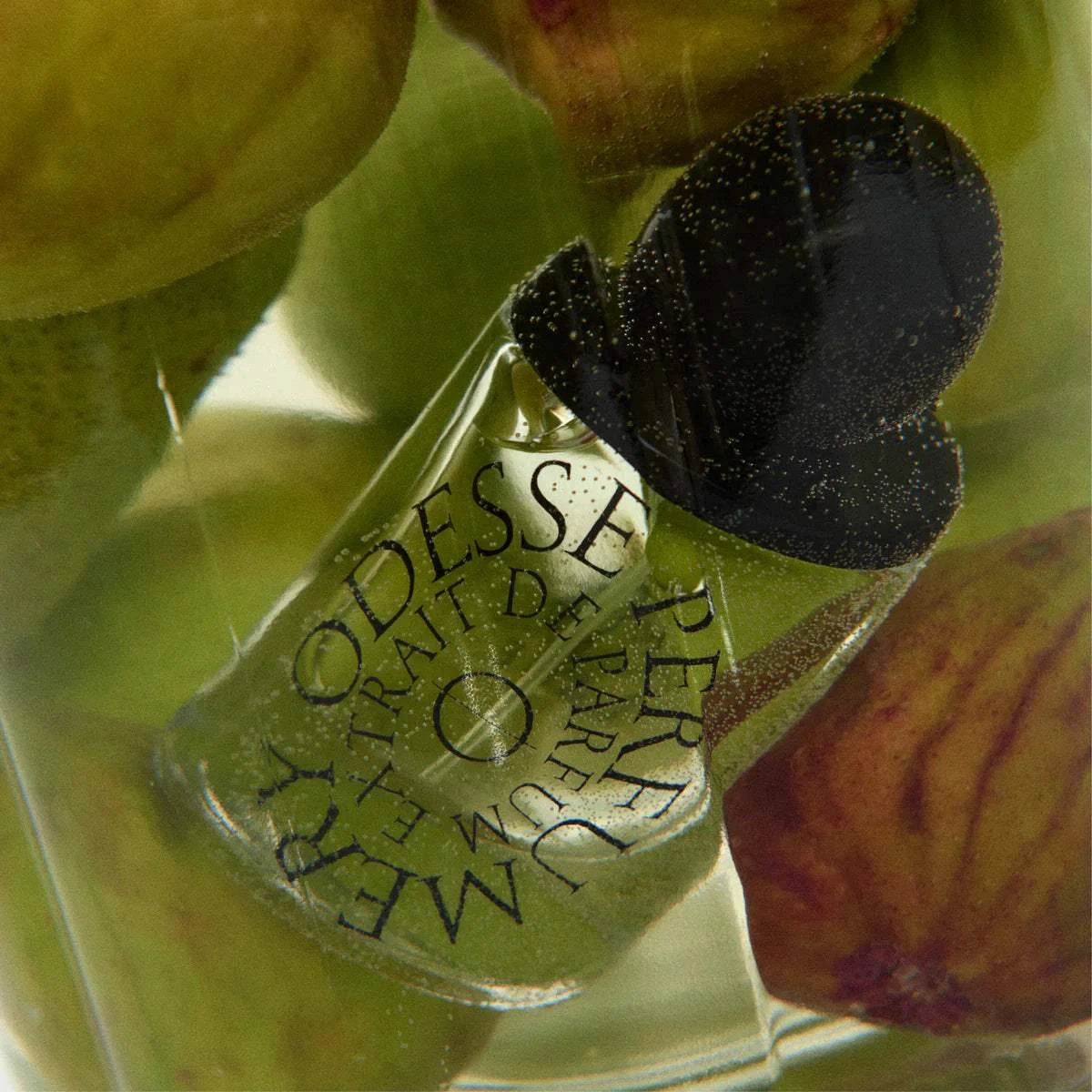 Odesse Fig Lane Extrait De Parfum