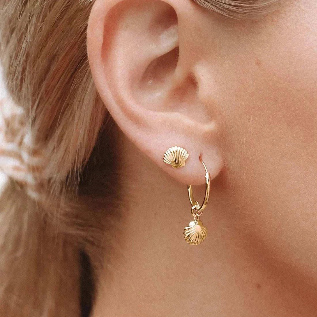 Midsummer Star Dainty Seashell Studs Gold