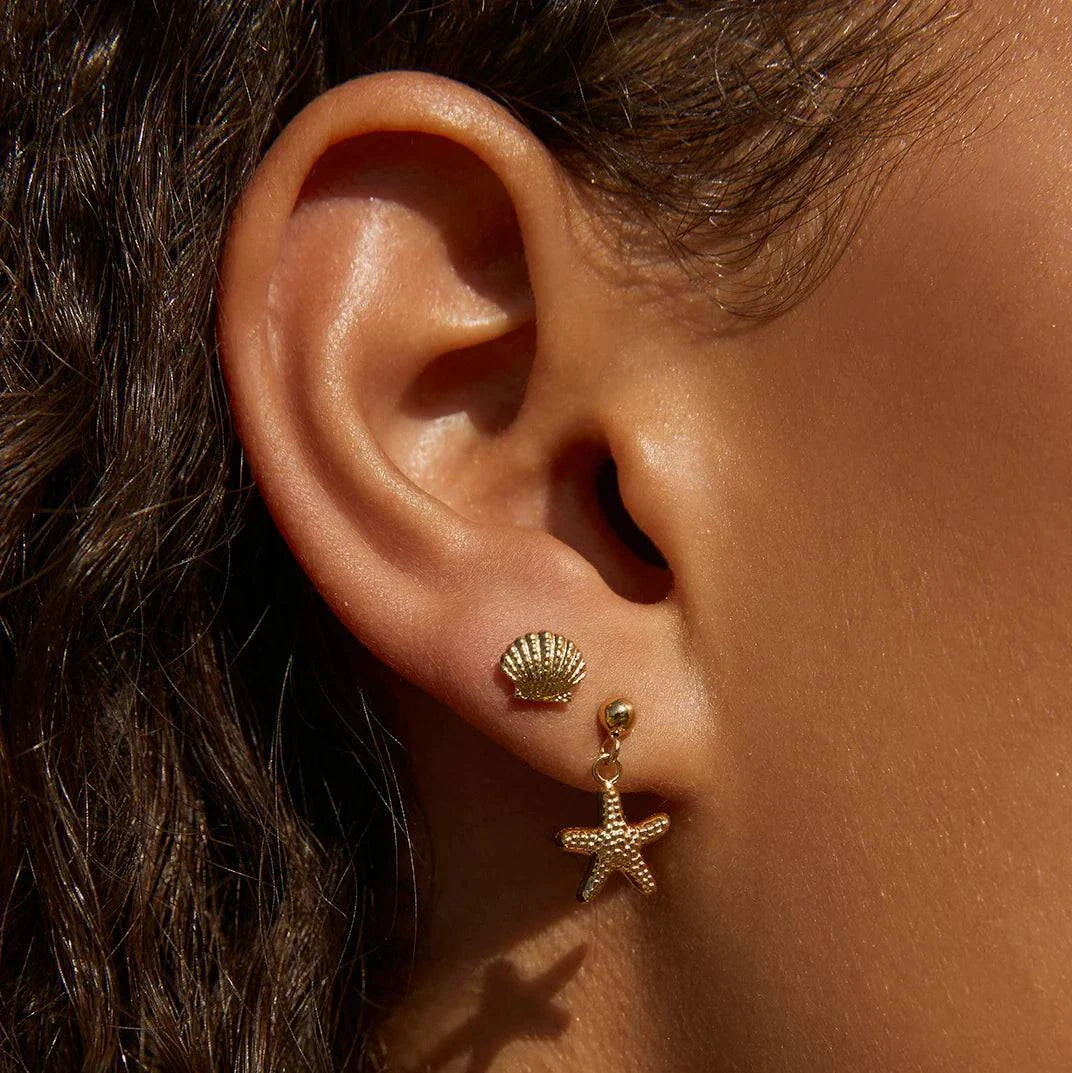 Arms Of Eve Shelli Gold Studs