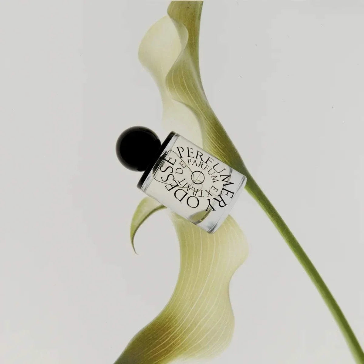 Odesse Morning Skin Extrait de Parfum
