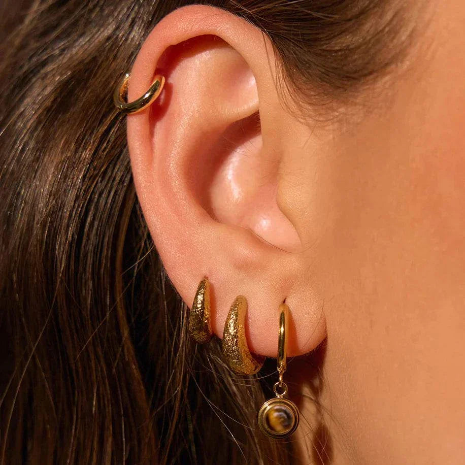 Arms of Eve Asher Earrings Tiger Eye