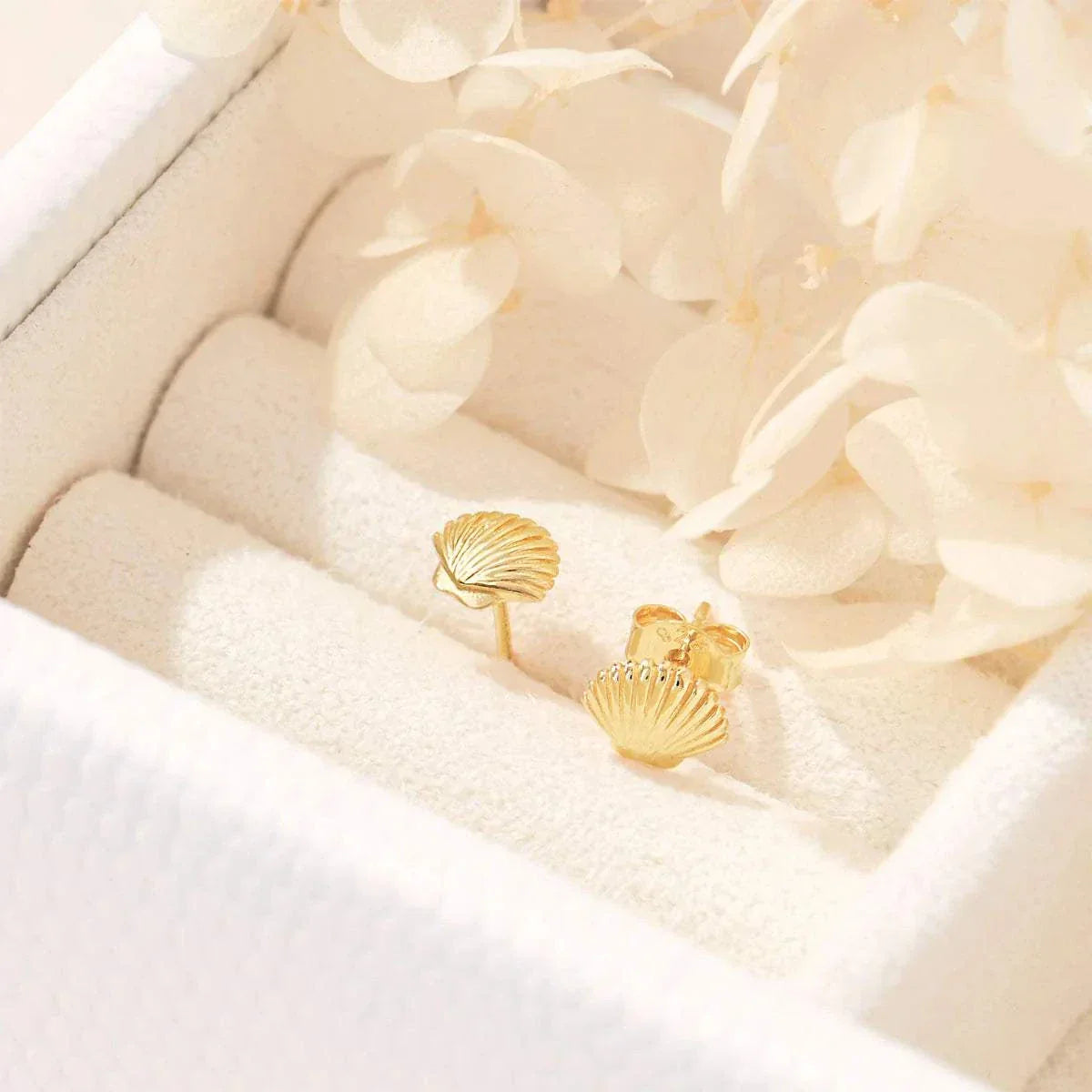 Midsummer Star Dainty Seashell Studs Gold
