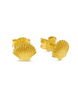 Midsummer Star Dainty Seashell Studs Gold