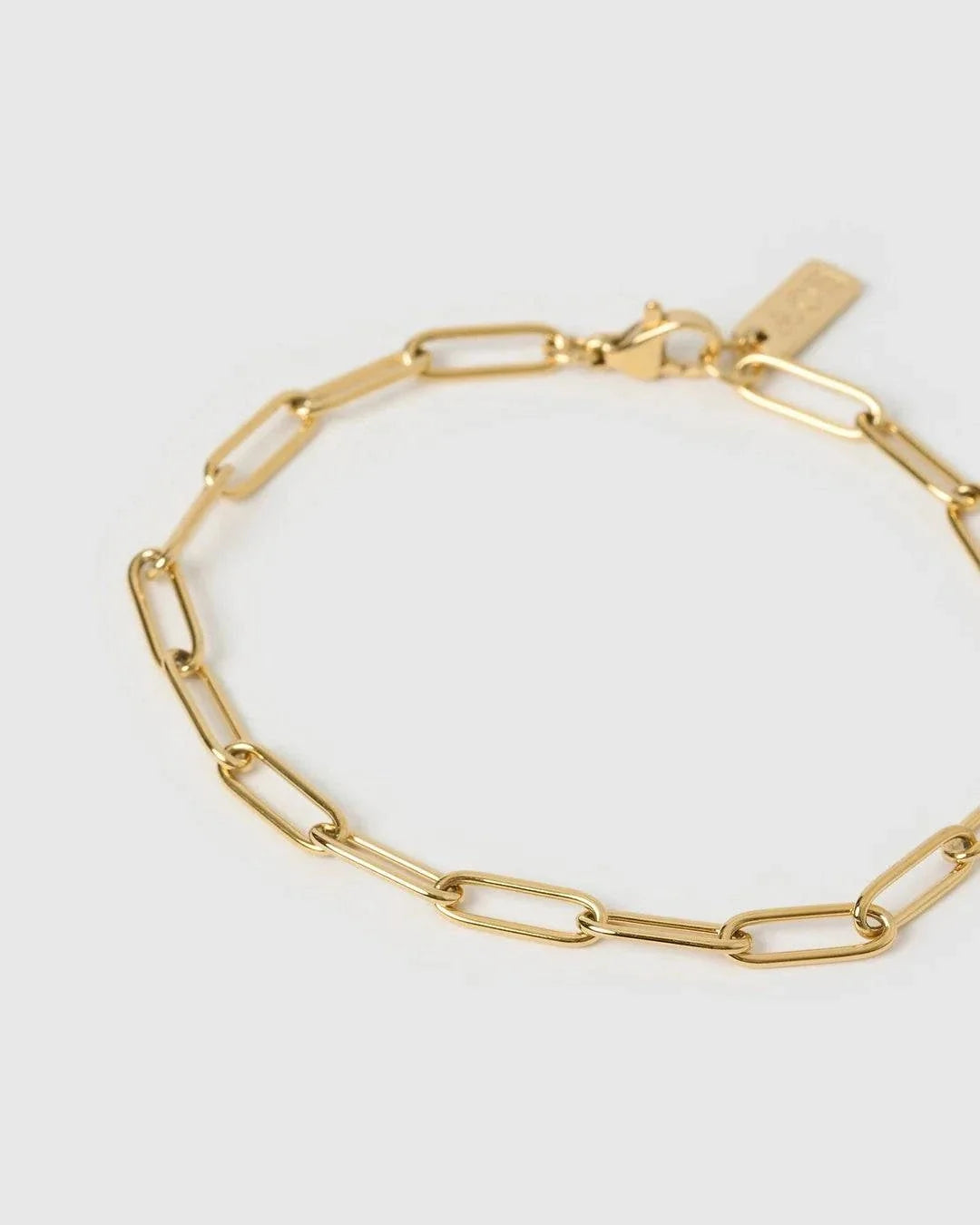 Arms of Eve Santana Gold Bracelet