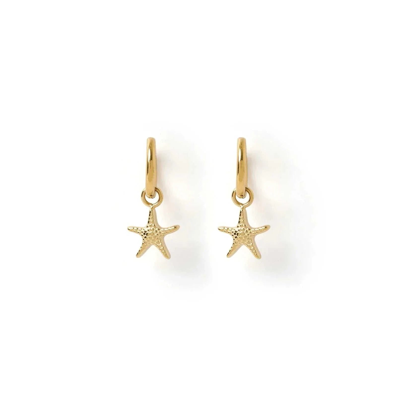 Arms of Eve Sea Star Earrings Gold