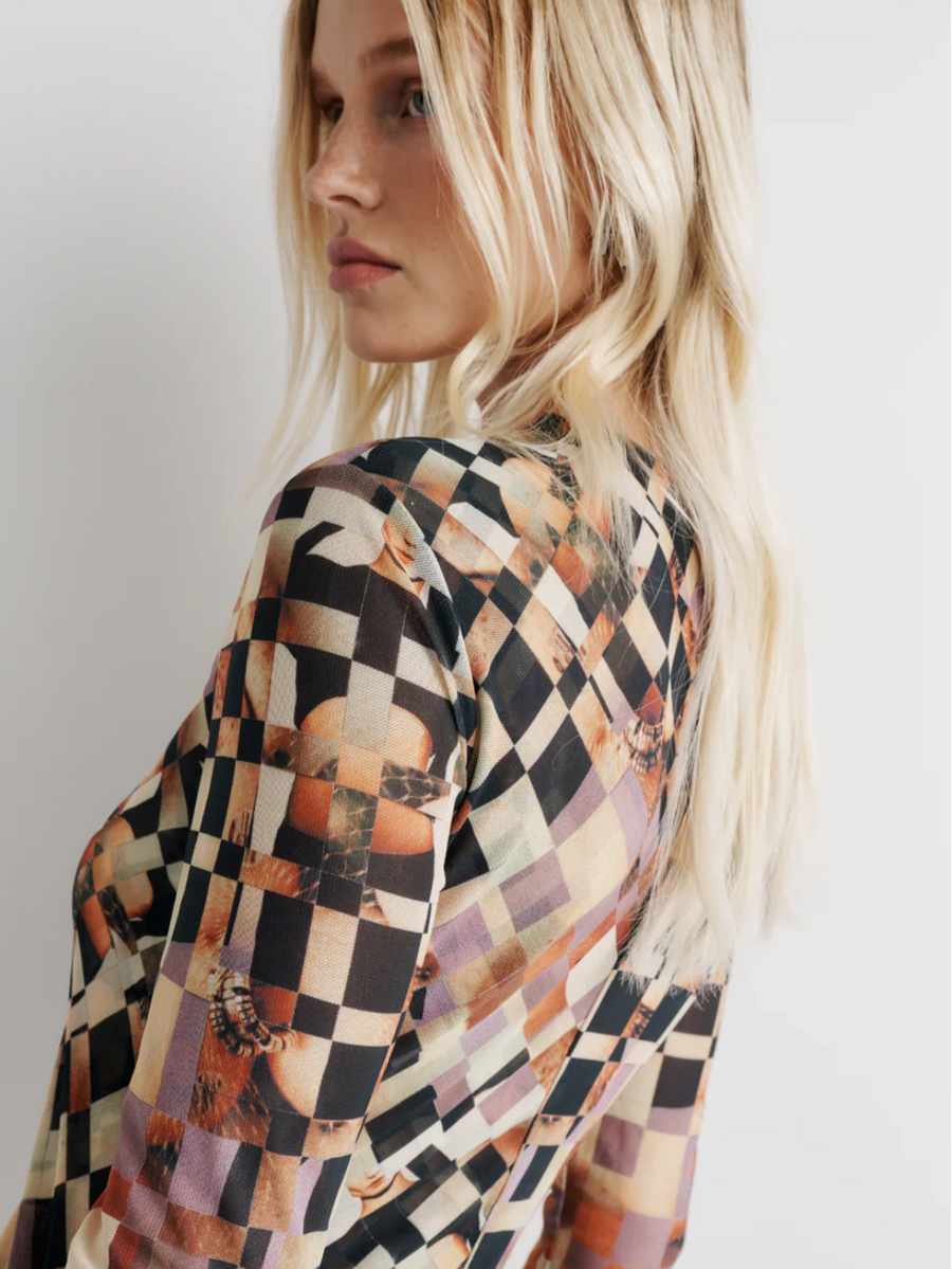 Romy Clara Mesh Dress