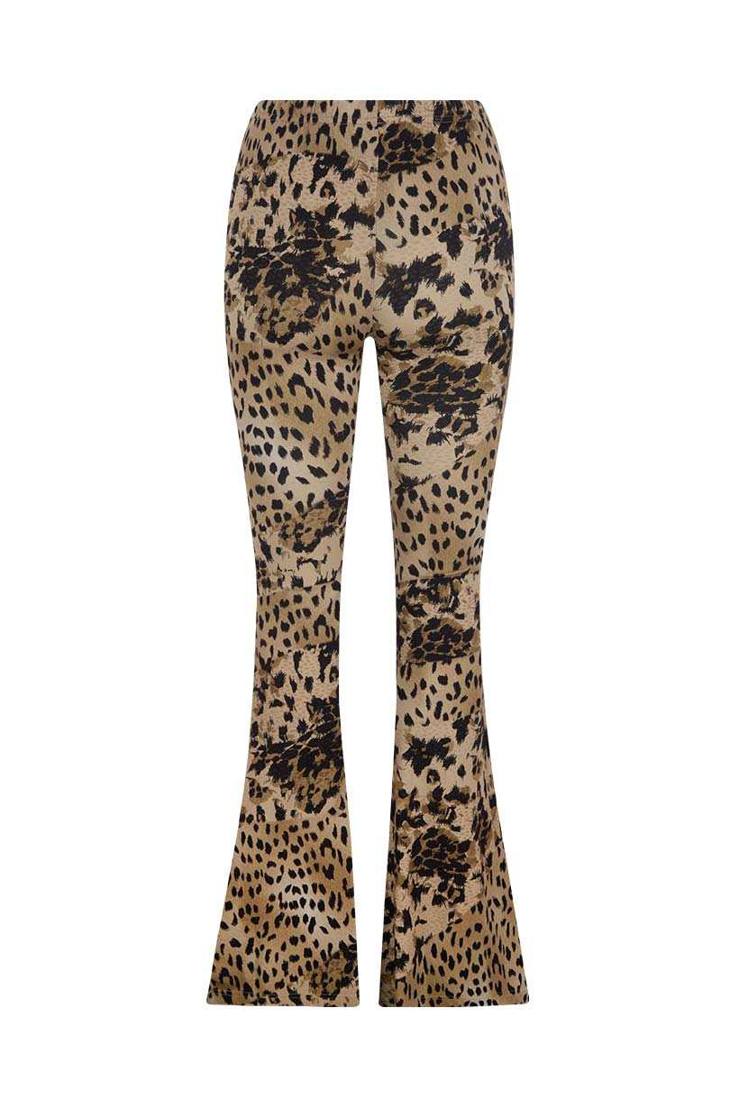 Spell Snow Leopard Bells Animal