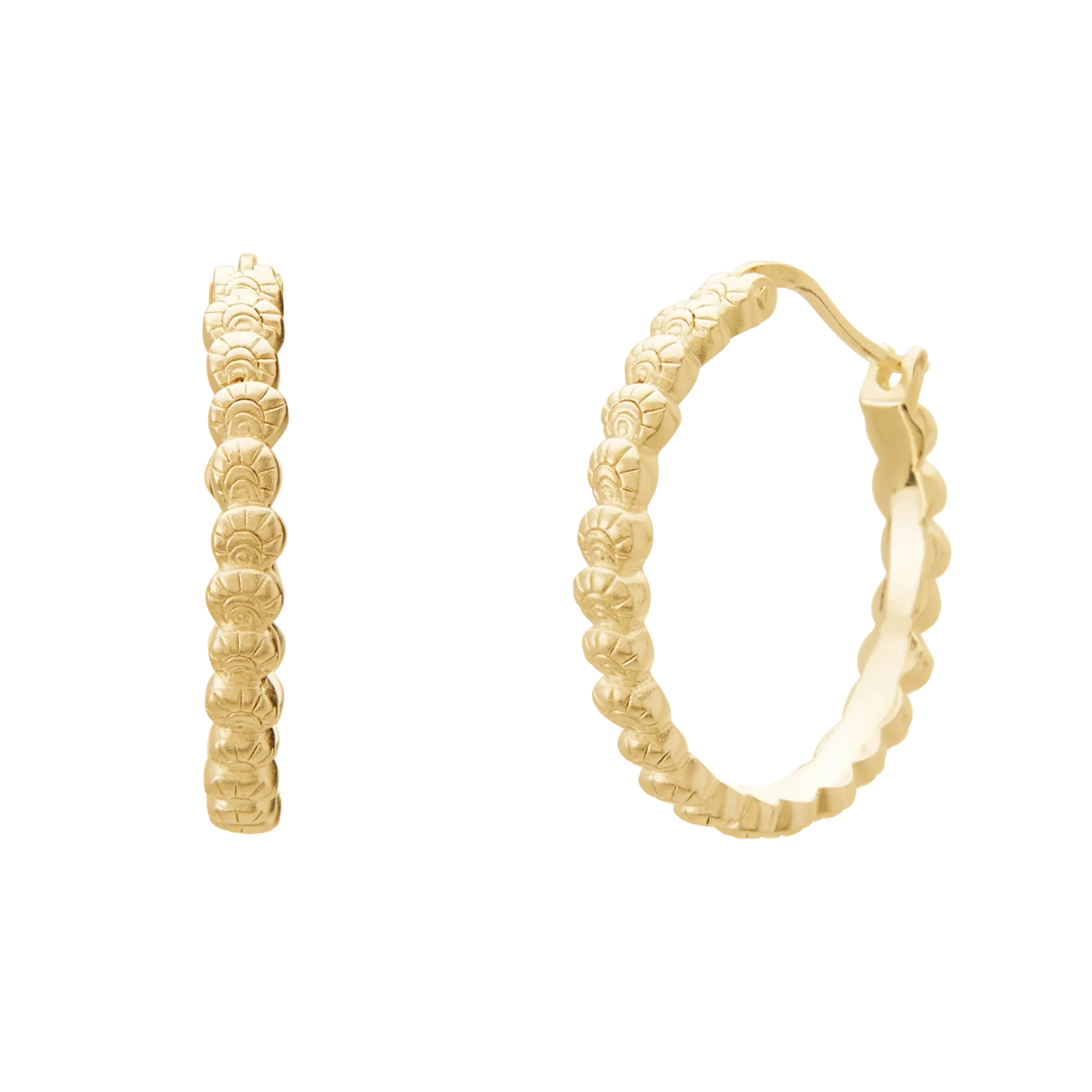 Murkani Soul Protector Medium Shell Earrings Gold Plated