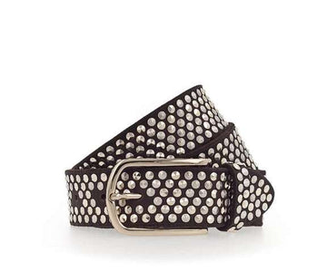 B Belts Zoe Polished Gold Chocolate