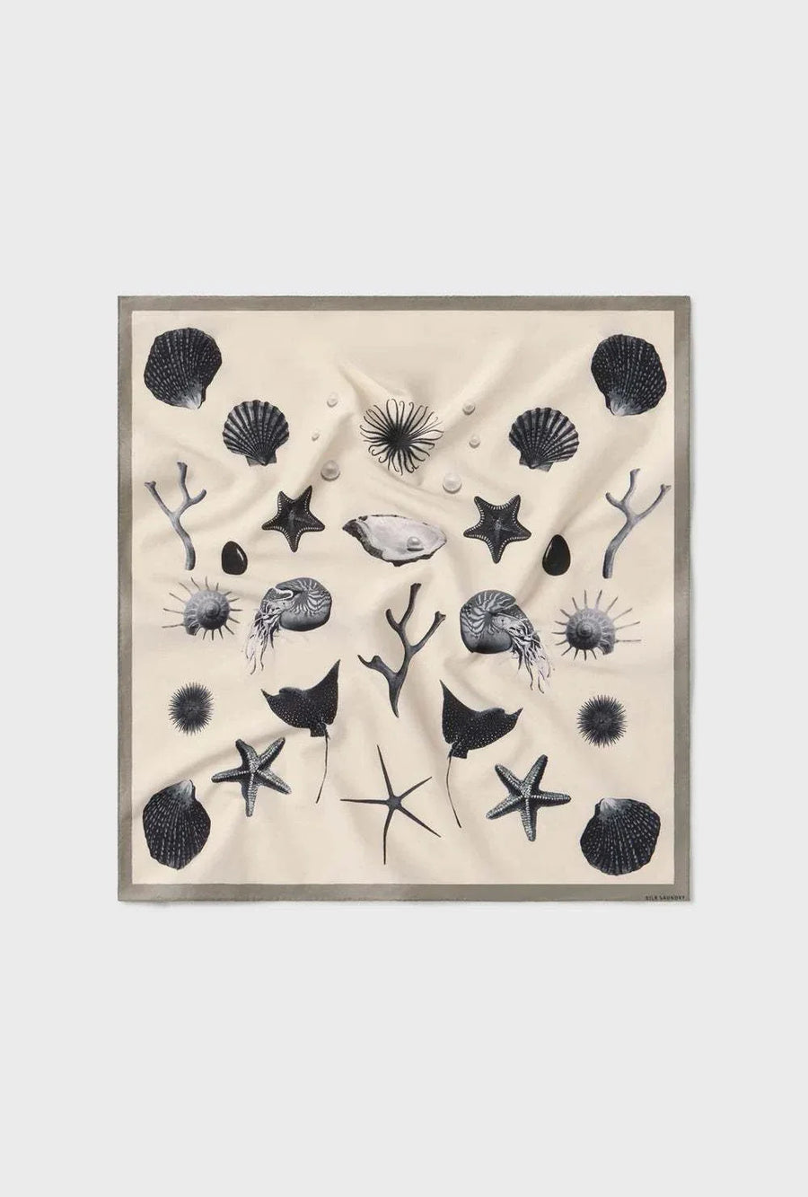 Silk Laundry Cotton Silk Scarf Seashells One Size