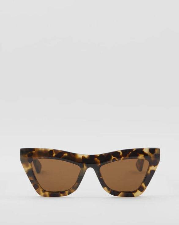 Brésac Frame 6 Havana