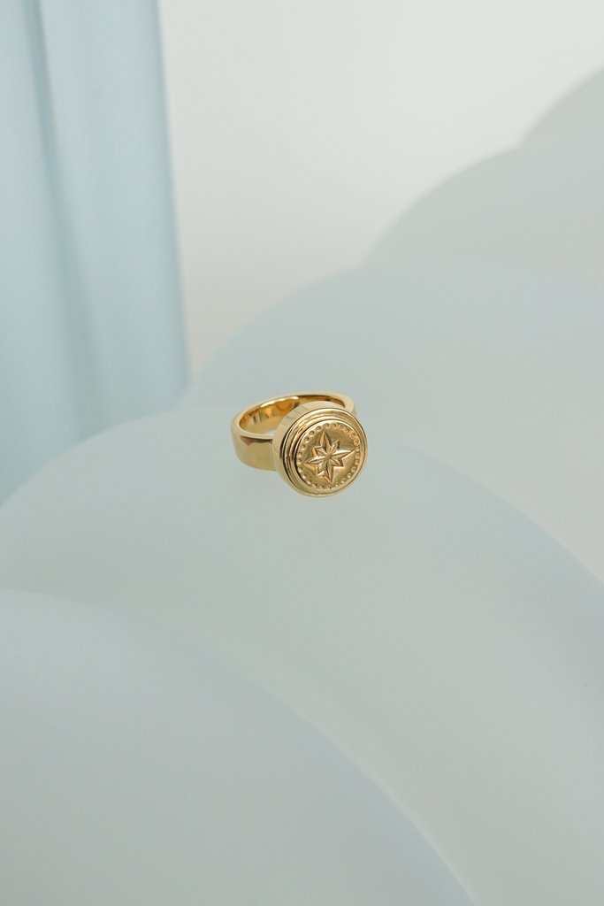 Wildthings Wander Pinky Ring Gold Plated